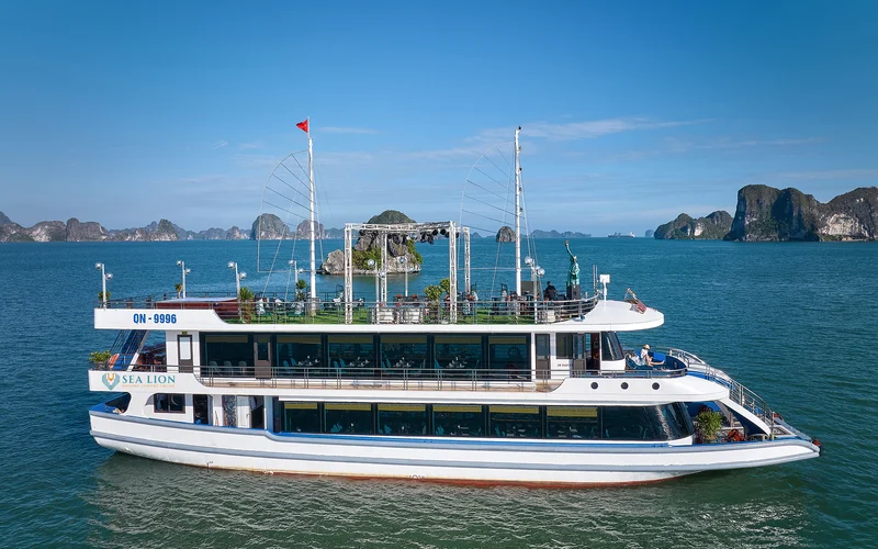 Sea Lion Day Cruise: Ha Long Bay, Sung Sot, Ti Top