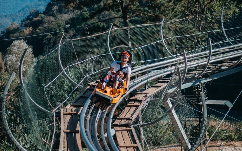 Pongyang Jungle Coaster & Zipline