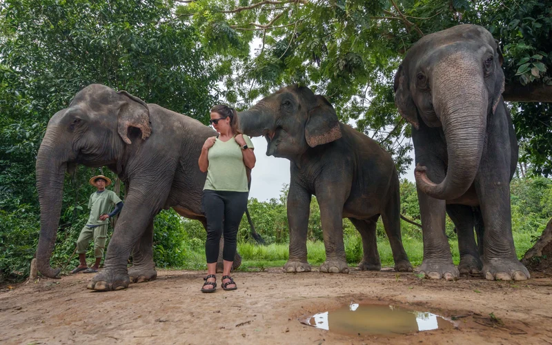 Featured tour with 34 reviews: Kulen Mountain Day Trip with Picnic and Kulen Elephant Forest