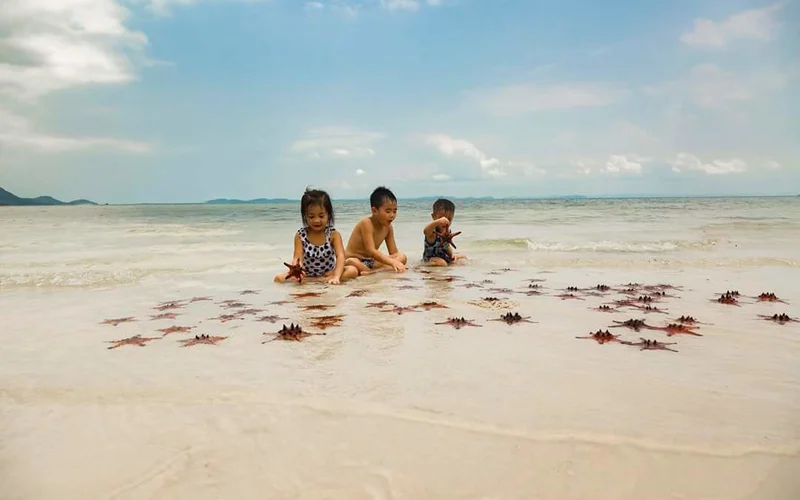 Average tour price for Sightseeing Tours from Phu Quoc around 52 USD Average tour price for Sightseeing Tours from Phu Quoc around 52 USD