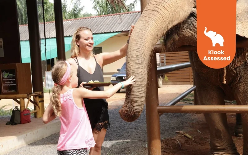 Featured tour with 66 reviews: Samui Elephant Home Feeding Experience