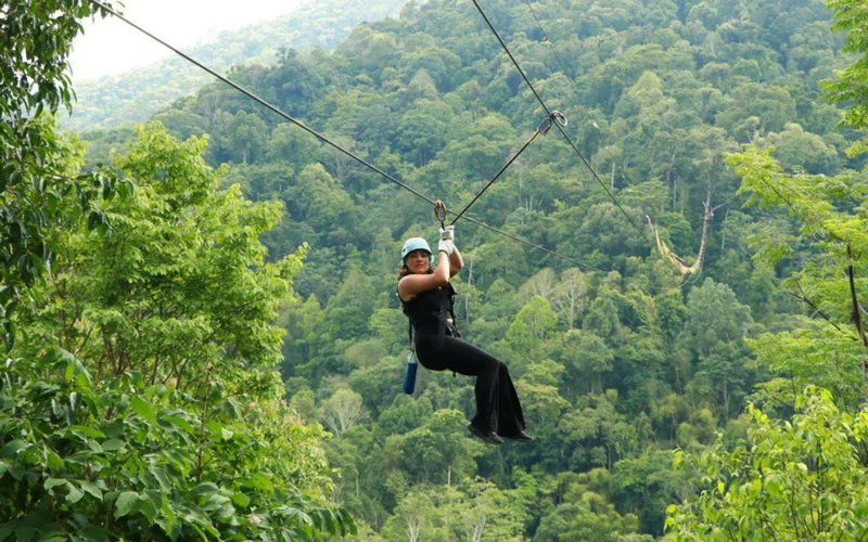 Featured tour with 127 reviews: Kingkong Smile Zipline Chiangmai
