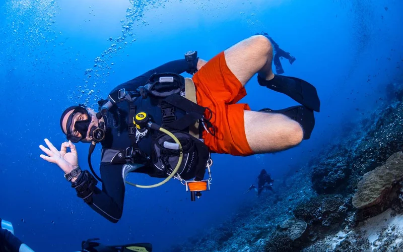 Price range for Diving Tours from Pattaya from 219 THB to 4631 THB Price range for Diving Tours from Pattaya from 219 THB to 4631 THB
