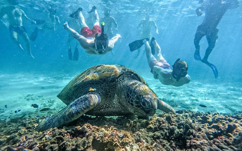 From Koh Tao: Snorkeling to Hidden Bays & Koh Nangyuan with Lunch