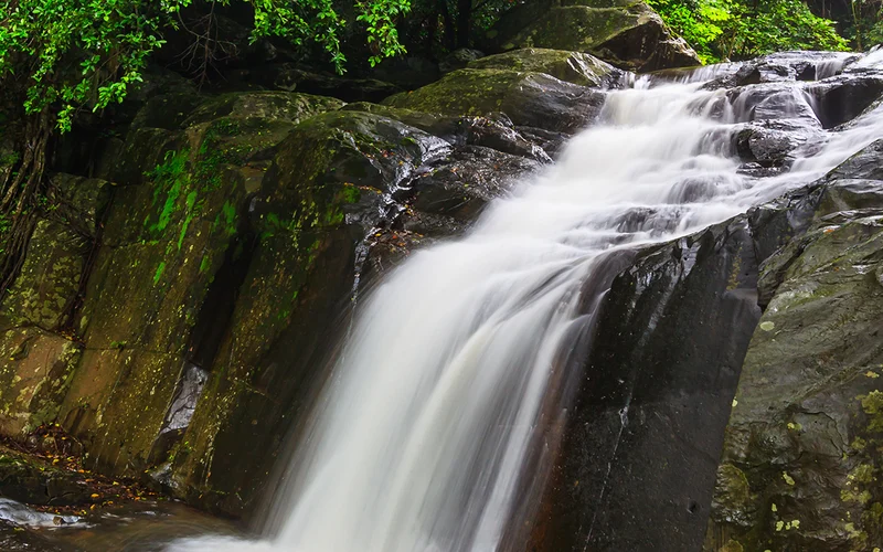 Pala-U Waterfall Tour