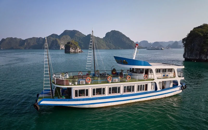Reina Day Cruise: Ha Long Bay with Sung Sot and Ti Top