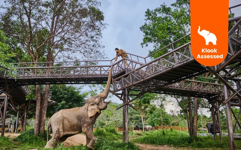 Featured tour with 27 reviews: Samui Elephant Kingdom Experience