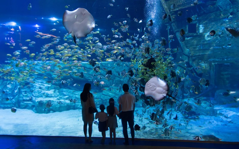 Best value tour: Lotte World Aquarium Hanoi Ticket | From only 7 USD
