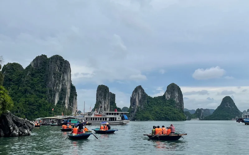 Halong Bay Day Trip (Japanese) | 4-Hour Cruise, Cave, and Kayak Experience