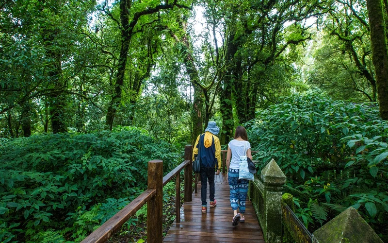 Doi Inthanon National Park Day Tour in Chiang Mai