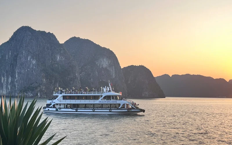 Dragon King Day Cruise: Ha Long Bay Tour with Sung Sot & Ti Top