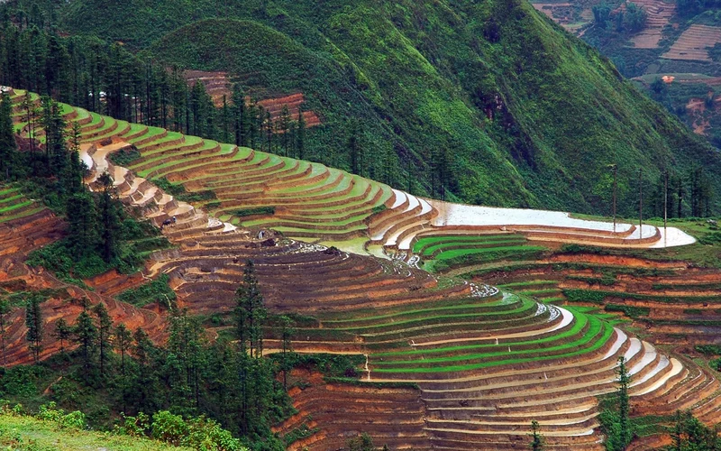 Featured tour with 75 reviews: 2D1N Sapa Trekking Tour by Bus from Hanoi