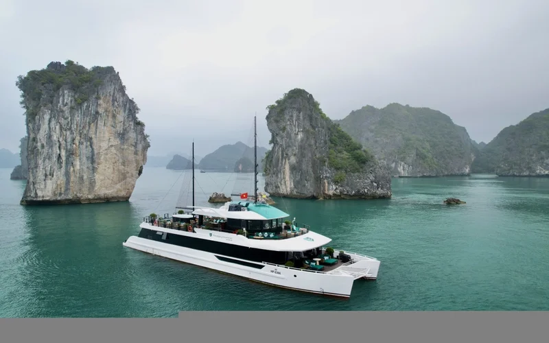 Catamaran Premium Day Cruise: Ha Long Bay & Lan Ha Bay Tour