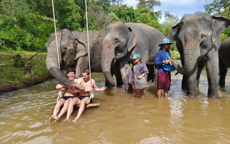 Chiang Mai Pon Elephant & Mae Wang Waterfall Full-Day Small Group Tour