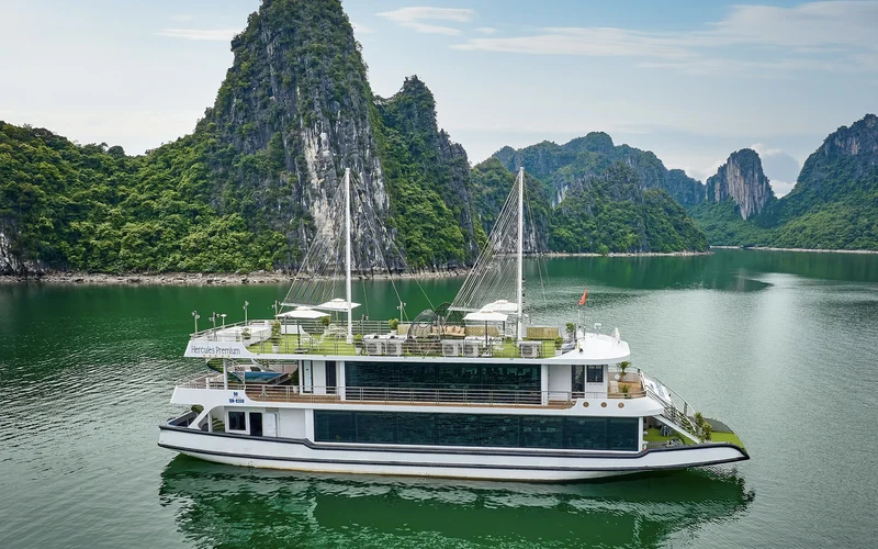 Editors choice tour: Hercules Premium Day Cruise: Ha Long Bay with Sung Sot & Ti Top