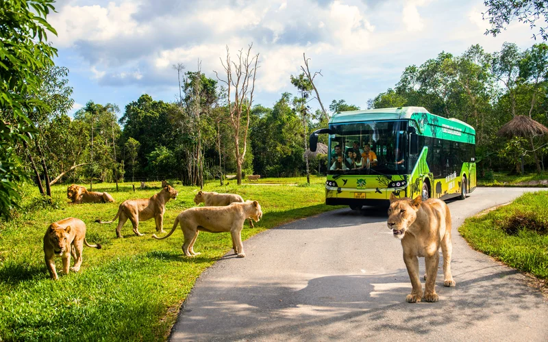 Vinpearl Safari Phu Quoc Ticket
