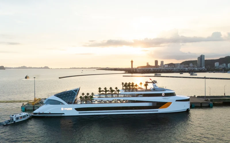 Dolphin Day Cruise: Ha Long, Sung Sot, Ti Top with Luxury Transfer