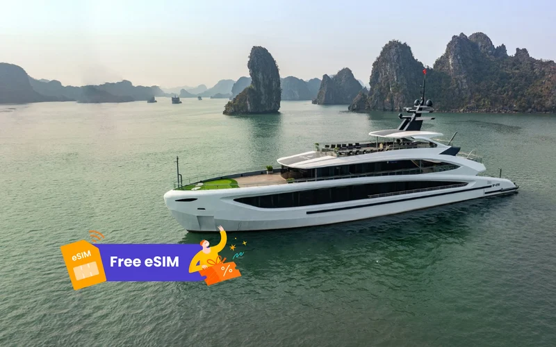 Taliya Day Cruise: Ha Long Bay & Lan Ha Bay Day Tour