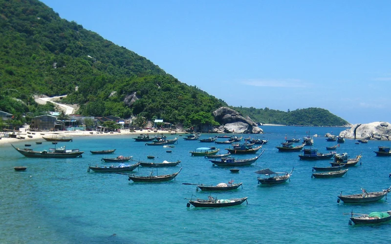 Cham Islands Day Tour from Hoi An and Da Nang