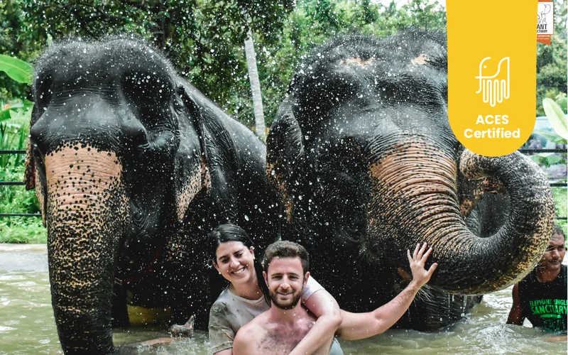 Average tour price for Elephant Jungle Sanctuary in Thailand around 2147 THB Average tour price for Elephant Jungle Sanctuary in Thailand around 2147 THB