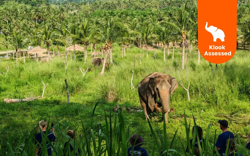 Pattaya Wildlife Tours
