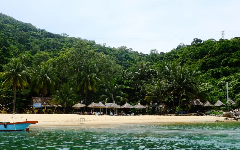 Average tour price for Speedboat Tours from Hoi An around 46 USD Average tour price for Speedboat Tours from Hoi An around 46 USD