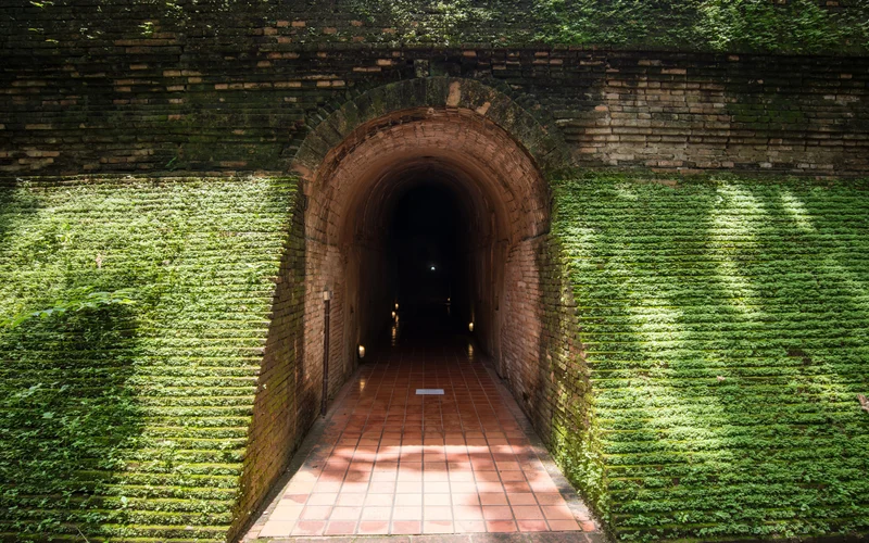 Featured tour with 247 reviews: Doi Suthep Trekking Half and Full Day Tour in Chiang Mai