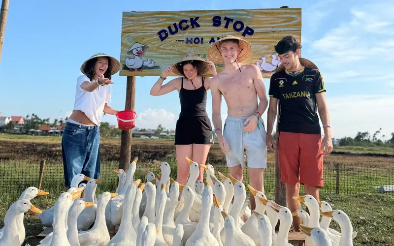 Duck Stop Hoi An Experience by Klook from 4 USD