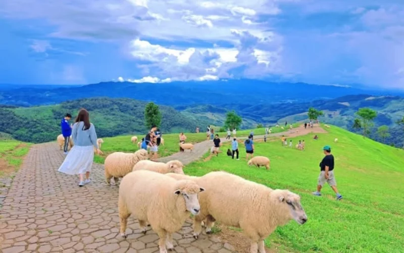 Featured tour with 13 reviews: Chiang Mai Wat Rong Khun & Akha FarmVille Full-Day Tour with Transfers