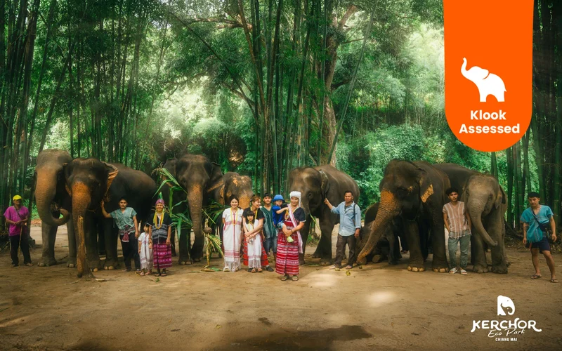 Chiang Mai Kerchor Elephant Eco Park Tour (from Chiang Mai)
