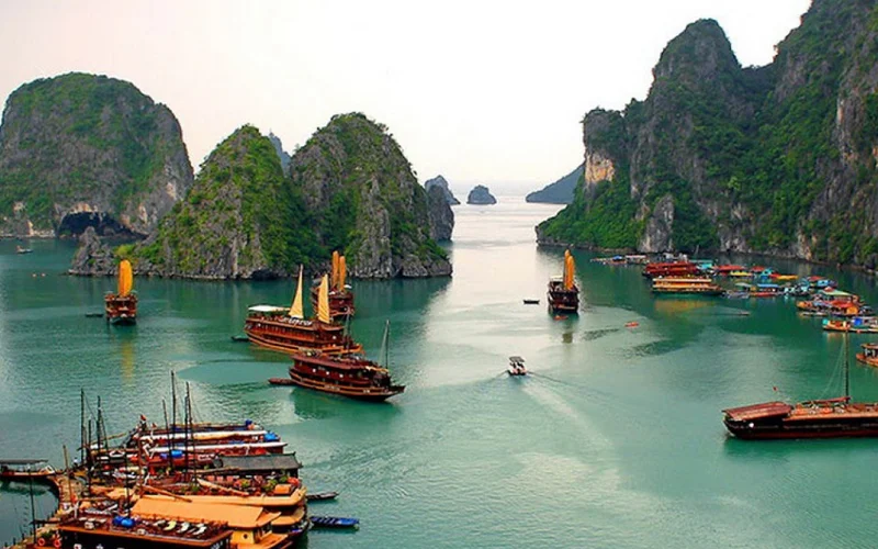 Ha Long Kayak Tours