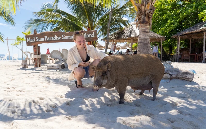 Koh Samui Island Hopping & Snorkeling Tour: Coral and Pig Island