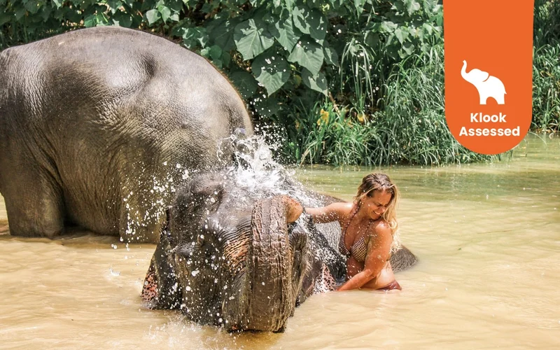 Aonang Elephant Sanctuary Experience