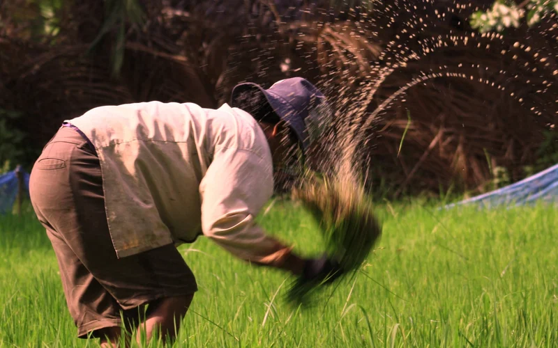 Siem Reap Cambodian Village Half-Day Private Cultural Experience