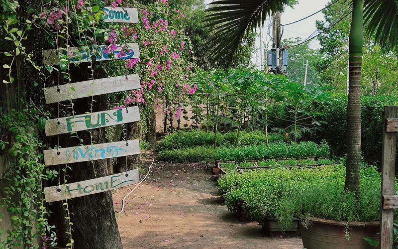 Luxury Tour: Private Farm Tour & Cooking Class in Ho Chi Minh City