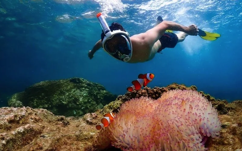 From Pattaya: Nemo Island Experience with Drone Photos and Lunch
