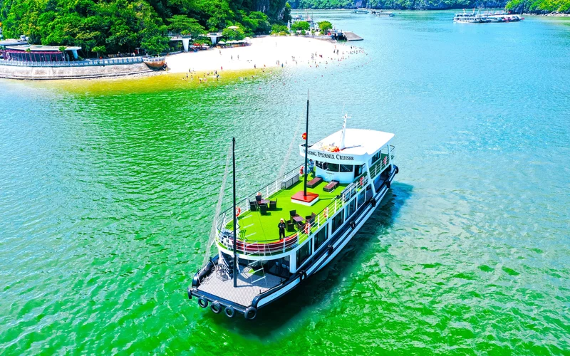 Phoenix Day Cruise: Ha Long Bay, Sung Sot, Ti Top