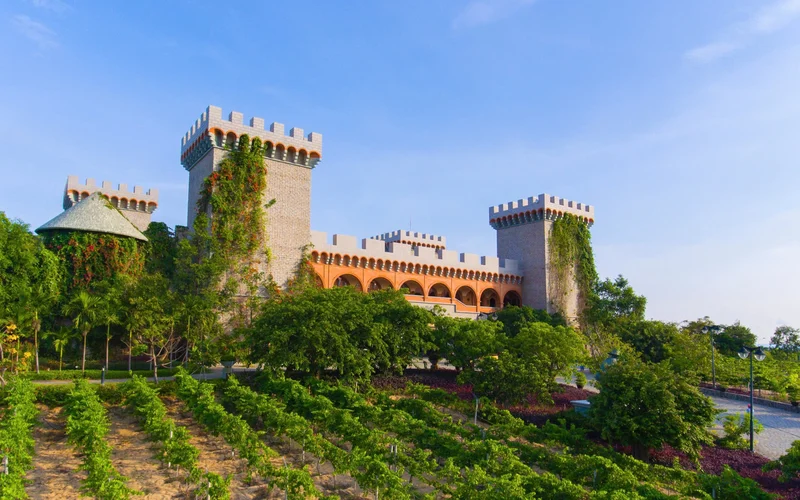 RD Wine Castle Ticket in Mui Ne