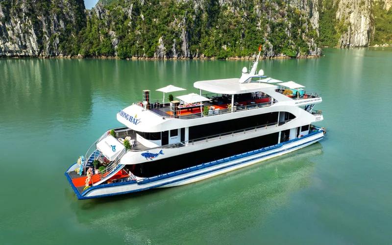 Arcady Premium Day Cruise: Ha Long Bay with Sung Sot & Ti Top