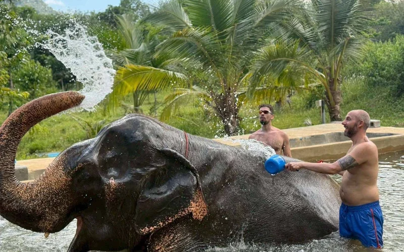 Featured tour with 9 reviews: Elephant Care & ATV Jungle Adventure Experience in Krabi