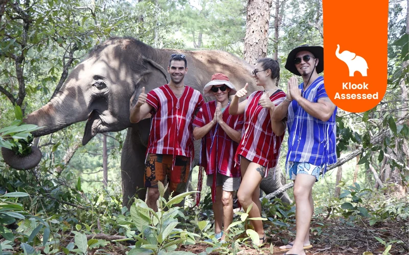 Elephant Sanctuary in Chiang Mai by Elephant Dream Project