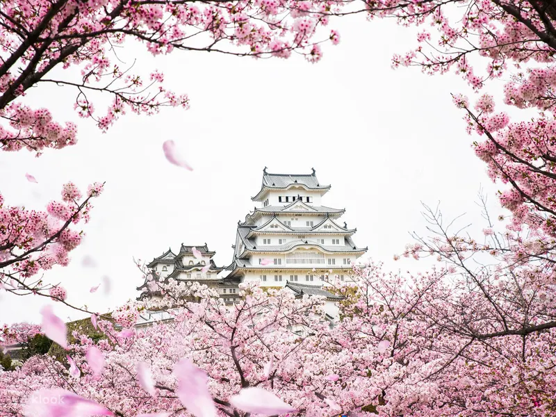 Himeji Castle and Kobe night view guided day tour option on Klook from Kansai