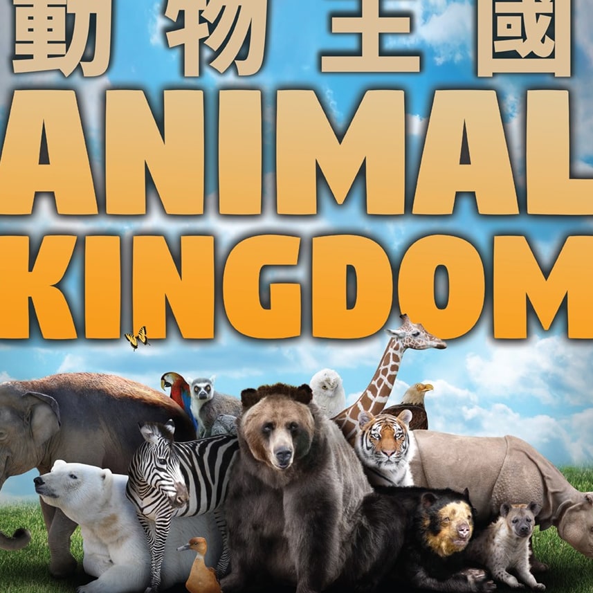 Animal Kingdom: A Tale of Six Families｜Dome Show