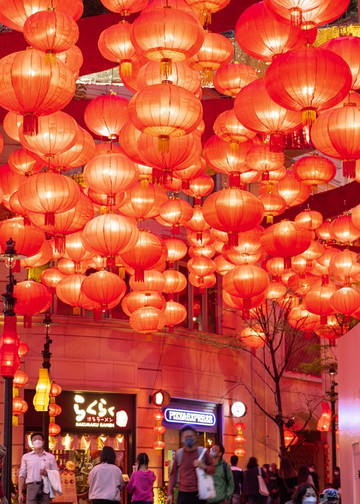 Colorful Lanterns at 2025 Lunar New Year Celebration