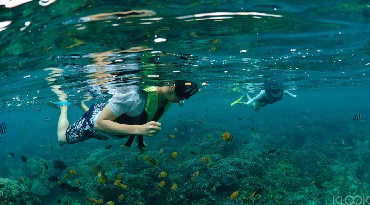 Wreck Snorkeling