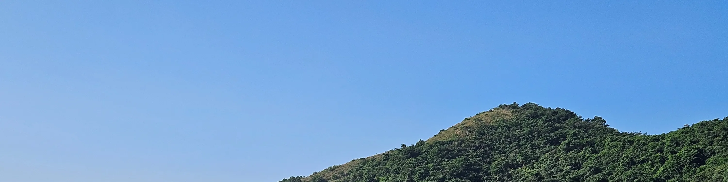 大澳觀光小艇遊｜棚屋及紅樹林