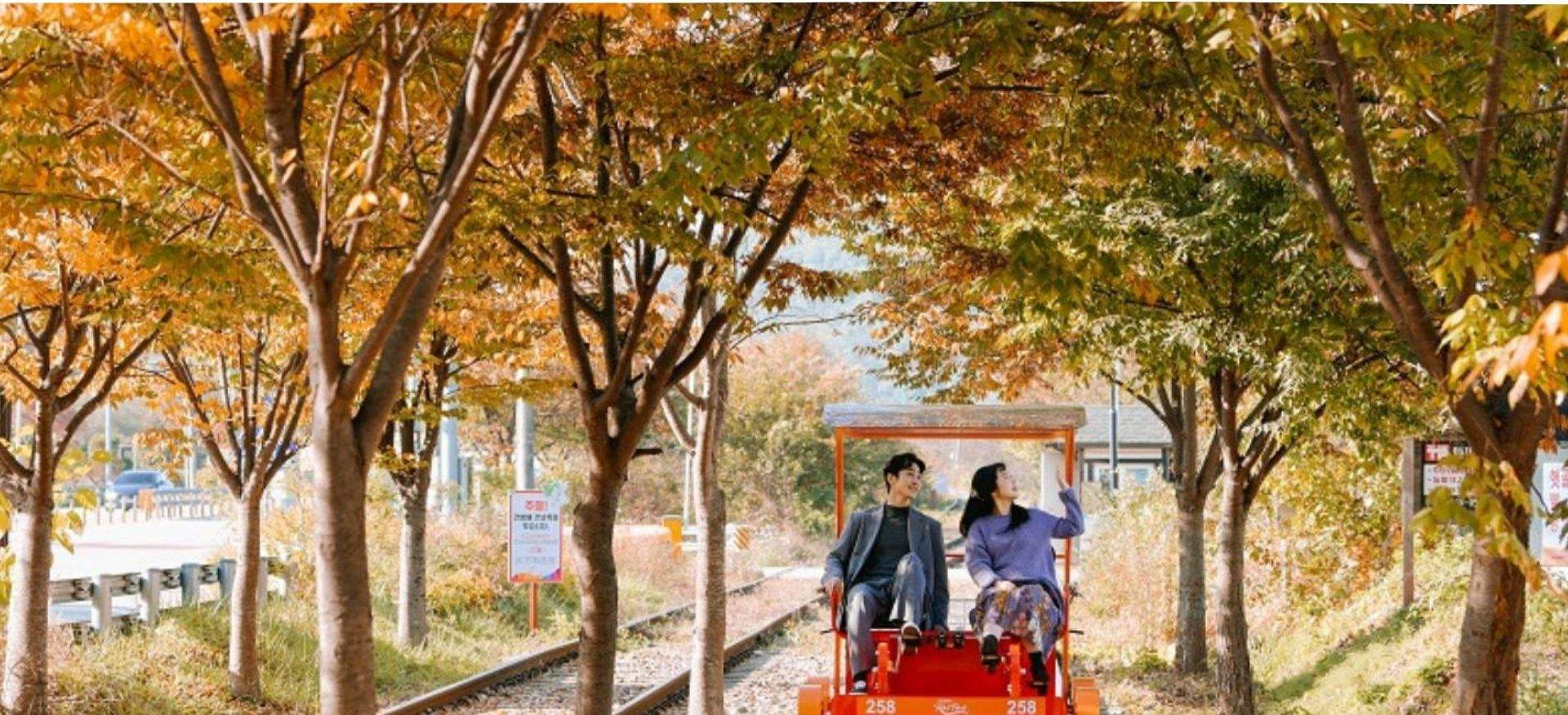 親子南怡島與江村鐵道自行車近郊行程實景