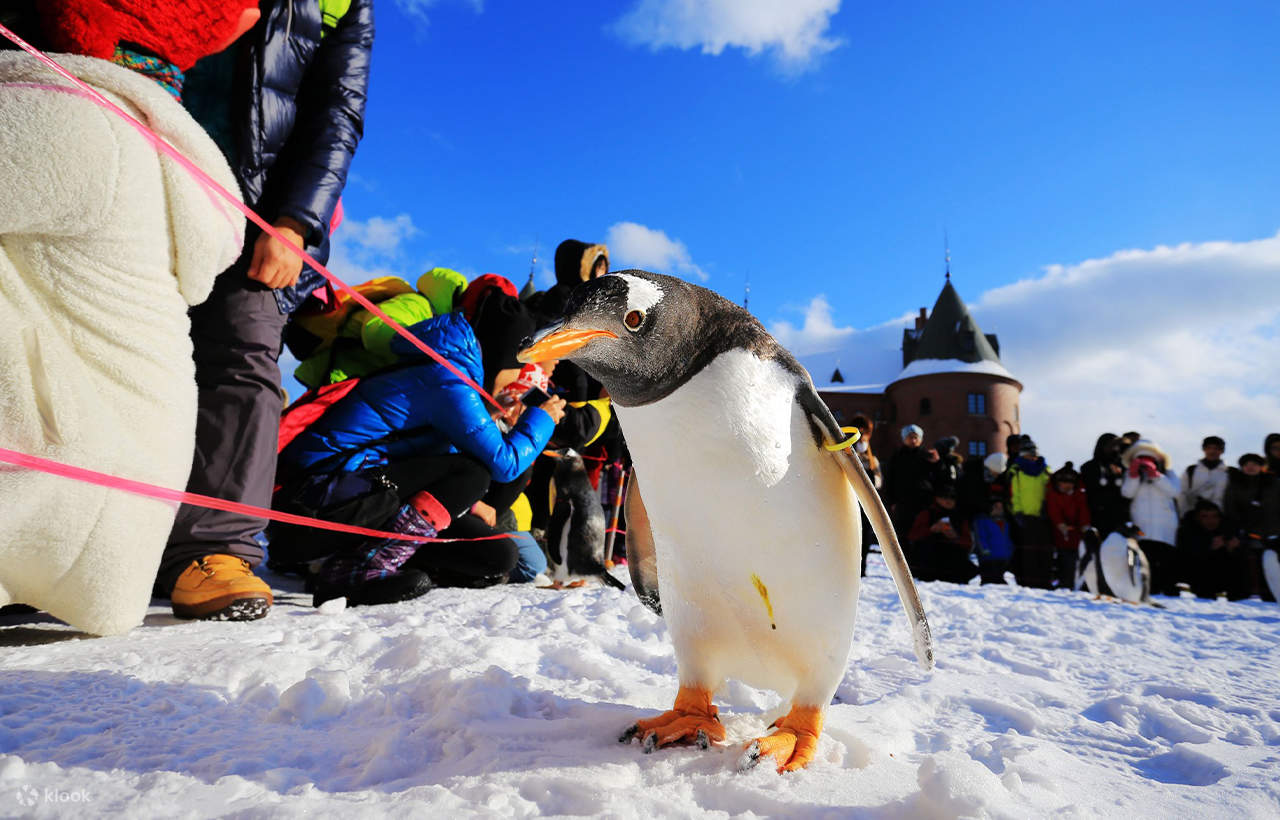 尼克斯vs老鹰直播在线观看高清无插件免费实时直击全场精彩对决
