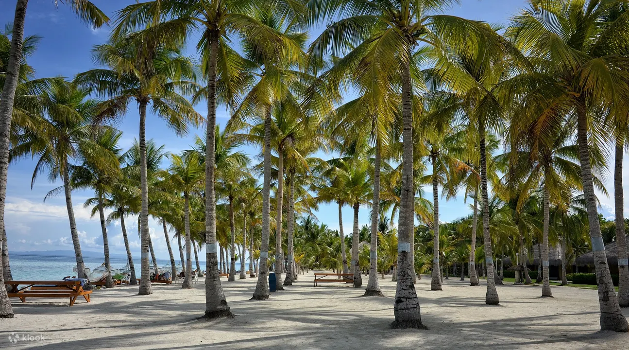 Alona Beach