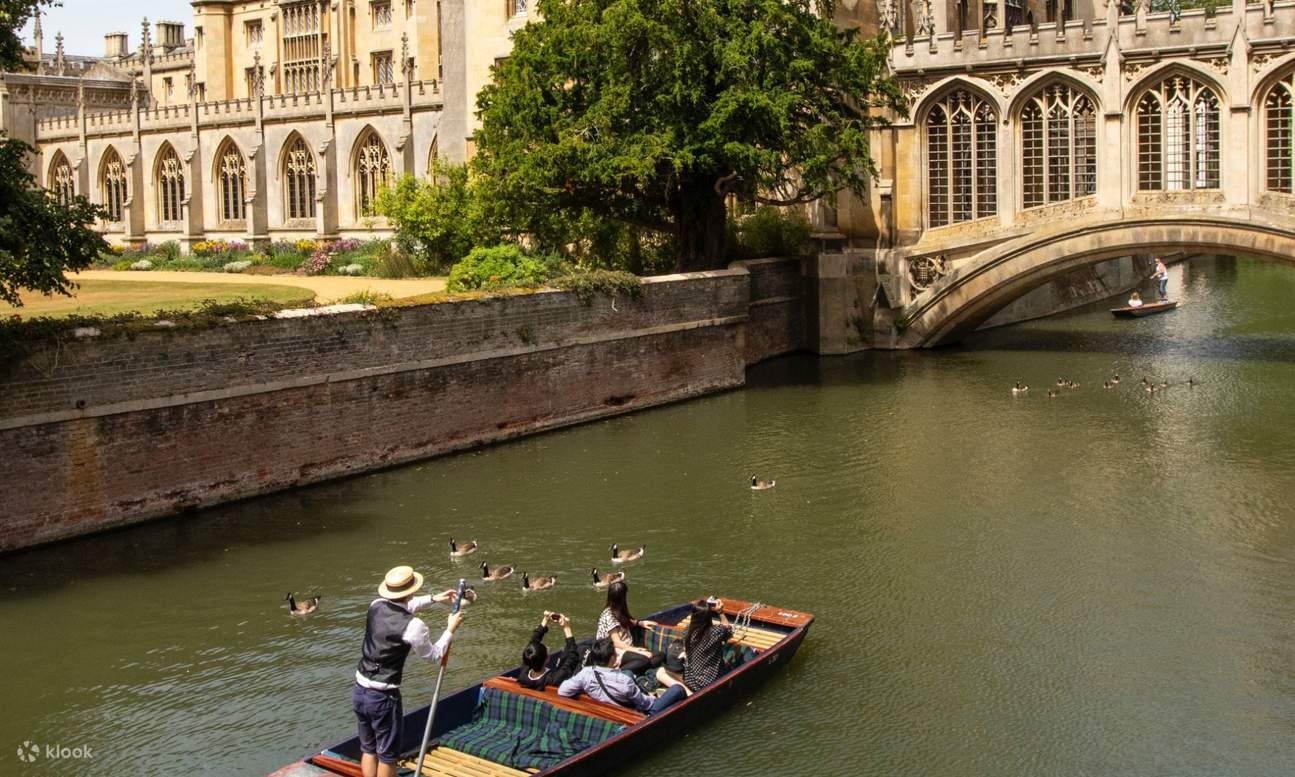 Rea Punting